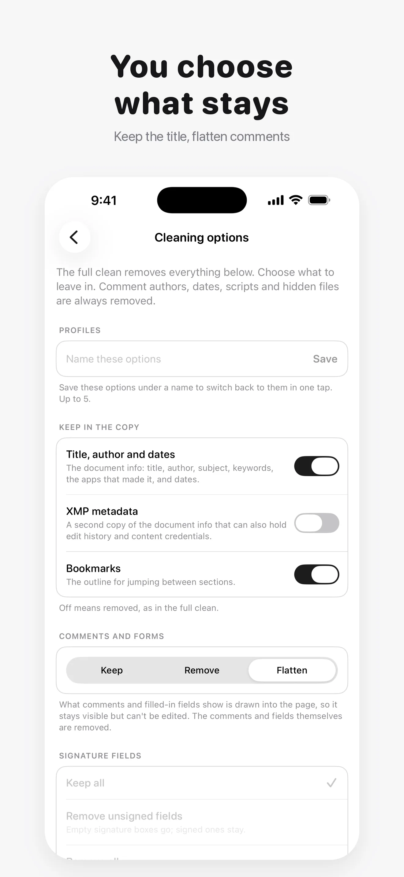 PDF Metadata Remover & Cleaner Screenshot - Choose what stays: keep the title, flatten comments